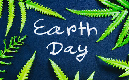 earth day concept, earth day word writing on chalkboard with nature green fern leavesの写真素材