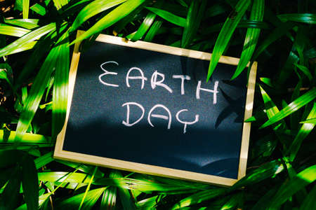 earth day concept, earth day word writing on chalkboard with nature green leaves backgroundの写真素材