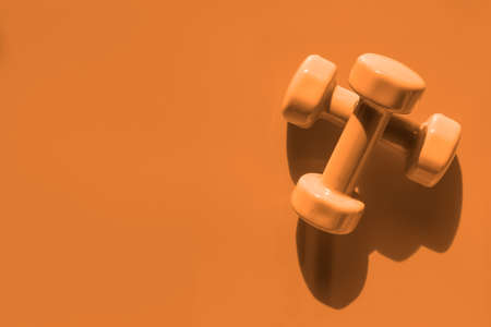 Fitness, Exercise, Working out healthy lifestyle background with Halloween color tone concept.  Flat lay Top view with copy space for your text.の写真素材