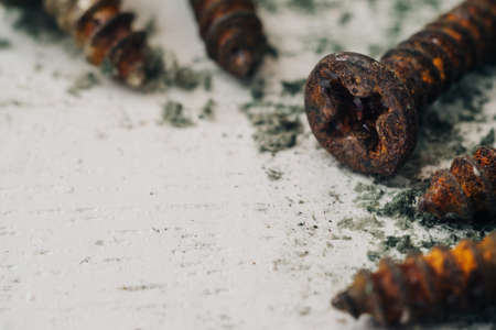 Close up selective focus of rusty screws. old steel bolts on grungy white wood backgroundの写真素材