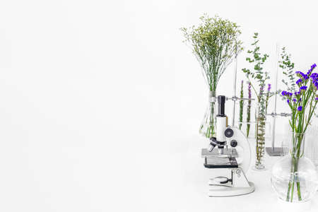 Green plants and scientific equipment in biology laborotary. Microscope with test tubes / glass containers and clamp and green plants and flowers in a white background lab.の写真素材