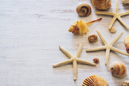 Top view of sea shells and starfish on grunge white wooden background. Background concept for...