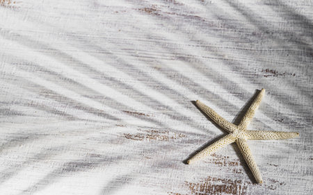 Starfish on rusty wood with tropical palm leaves shadow. Background concept for Summertime holiday...