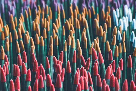 Colorful texture background of Sansevieria Stuckyi tree or Sansevieria Cylindrica Bojer tree. Common Spear Plant Spear Sansevieria.の写真素材