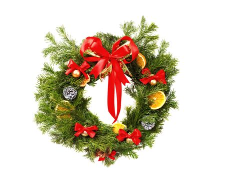 crown of trees on a white backgroundの写真素材