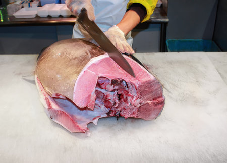 tuna fish auction to buy the cut meat fillet cookの写真素材