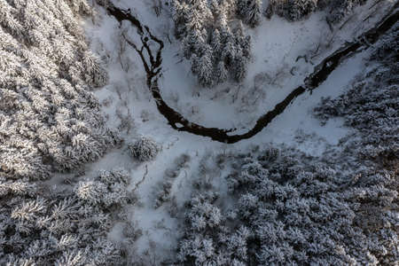 The frozen trees at the top of the mountain are covered with white snow. On a frosty sunny December day, spruce trees stand in the forest covered with white snow, wrapped in a blanket of winter.の写真素材