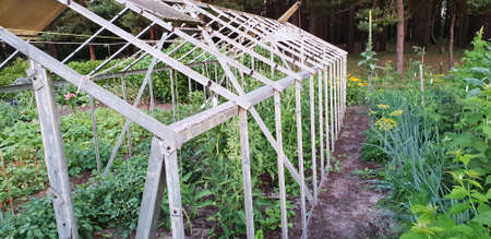 Greenhouse for growing vegetablesの写真素材