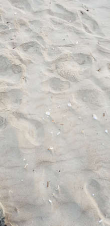Sand of the baltic sea beachの写真素材