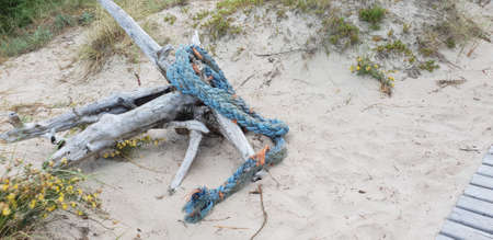 The marine rope laying on the ground in the beach on sandの写真素材
