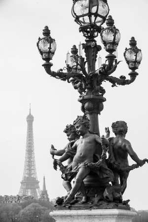 The Eiffel tower in Paris France black and whiteの写真素材