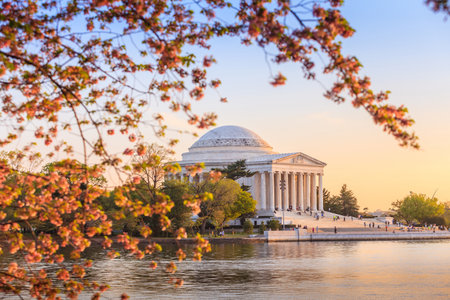 the Jefferson Memorial during the Cherry Blossom Festival. Washington, DCのeditorial素材