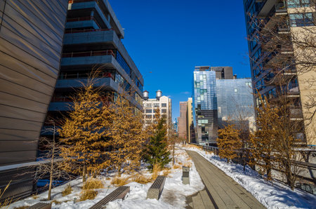 NEW YORK CITY-February 10: High Line Park in NYC on Feb. 10, 2014. In 2009 this former elevated freight railroad spur on NYC's west side opened as an aerial park garden and continues to expand.のeditorial素材