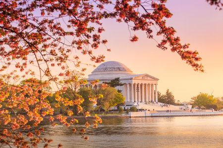 the Jefferson Memorial during the Cherry Blossom Festival. Washington, DCのeditorial素材