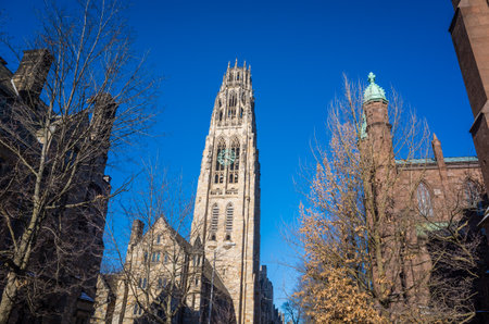 Yale university buildings in winter sunlight with snow and blue skyのeditorial素材