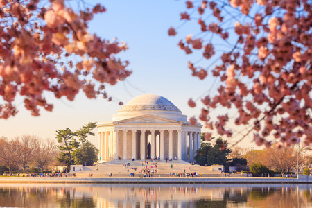 the Jefferson Memorial during the Cherry Blossom Festival. Washington, DCのeditorial素材