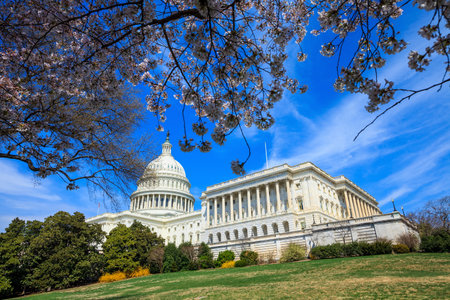 US Capitol Building in Spring - Washington DC United Statesのeditorial素材