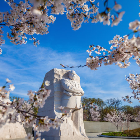 Martin Luther King Monument surrounded by cherry blossoms in Washington DC, USAのeditorial素材