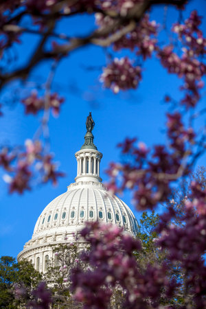 Washington DC, US Capitol Building のeditorial素材