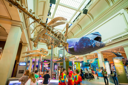 WASHINGTON,DC- APRIL 10: Interior of National Museum of National History on April 10, 2014.It is a natural history museum administered by the Smithsonian Institution at the National Mall.
のeditorial素材
