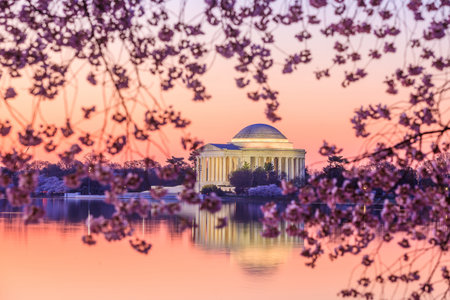 the Jefferson Memorial during the Cherry Blossom Festival. Washington, DCのeditorial素材