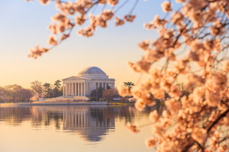 the Jefferson Memorial during the Cherry Blossom Festival. Washington, DCのeditorial素材