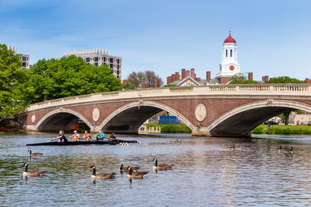 CAMBRIDGE, MA - MAY 30: A Harvard's Crimson Lightweight Crew practicing for a race in the Charles River in Massachusetts, USA on May 30, 2014のeditorial素材