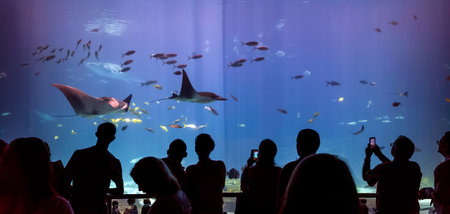 ATLANTA, GEORGIA - August 2:Interior of Georgia Aquarium with the people, the world's largest aquarium holding more than 8 million gallons of water in Atlanta, Georgia on August 2, 2014のeditorial素材