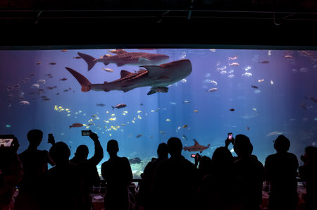 ATLANTA, GEORGIA - August 2:Interior of Georgia Aquarium with the people, the world's largest aquarium holding more than 8 million gallons of water in Atlanta, Georgia on August 2, 2014のeditorial素材