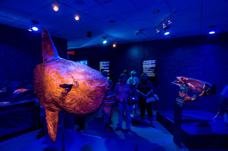 ATLANTA, GEORGIA - August 2:Interior of Georgia Aquarium with the people, the world's largest aquarium holding more than 8 million gallons of water in Atlanta, Georgia on August 2, 2014のeditorial素材