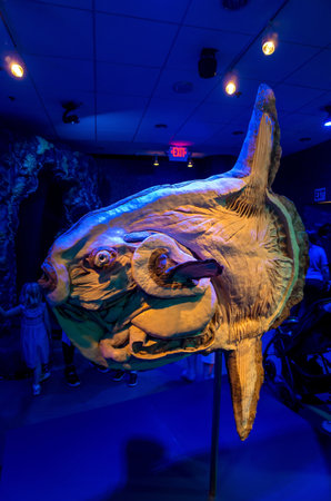 ATLANTA, GEORGIA - August 2:Interior of Georgia Aquarium with the people, the world's largest aquarium holding more than 8 million gallons of water in Atlanta, Georgia on August 2, 2014のeditorial素材