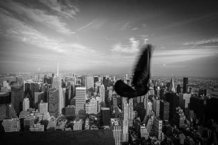 New York City skyline and a birdの写真素材