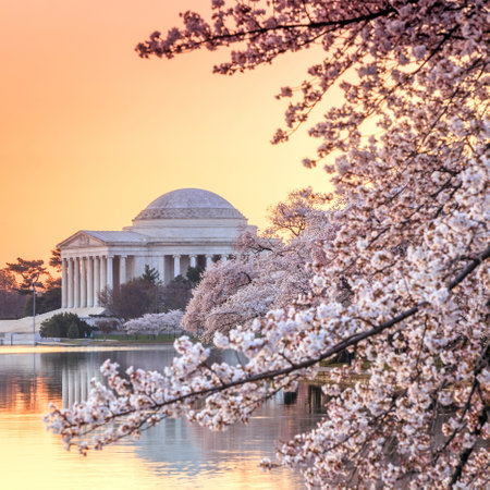 the Jefferson Memorial during the Cherry Blossom Festival. Washington, DCのeditorial素材