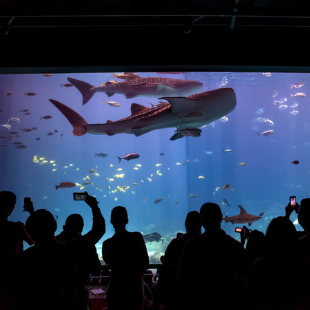 ATLANTA, GEORGIA - August 2:Interior of Georgia Aquarium with the people, the world's largest aquarium holding more than 8 million gallons of water in Atlanta, Georgia on August 2, 2014のeditorial素材
