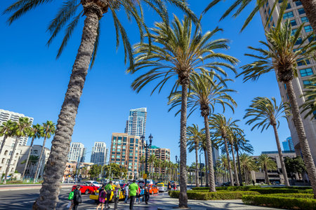 Palm tree and San Diego cityのeditorial素材