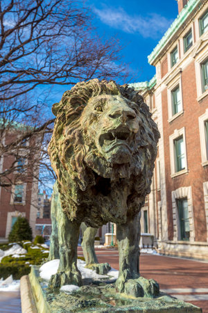 Columbia University of New York in winter