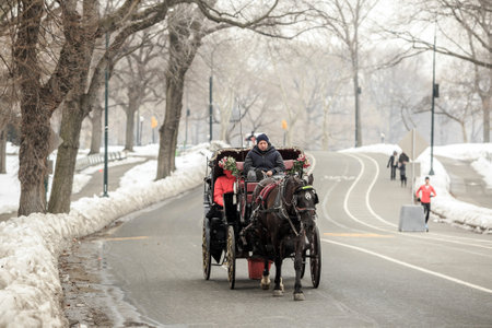NEW YORK CITY - FEB 13: Horse carriage rider in Central Park, on February 13, 2015. in New York City. Horse-Drawn Carriages are a wonderful way to experience the beauty of the Central Park.のeditorial素材