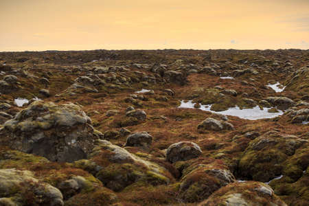 Mossy lava rock at sunsetの写真素材