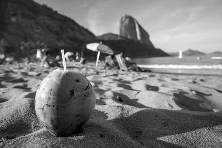 Coconut and beach in Rio de Janeiro Brazil