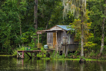 Old house in a swamp in New Orleans Louisiana USAのeditorial素材