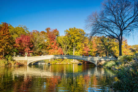 Central Park in Autumn with colorful trees and skyscrapersの写真素材