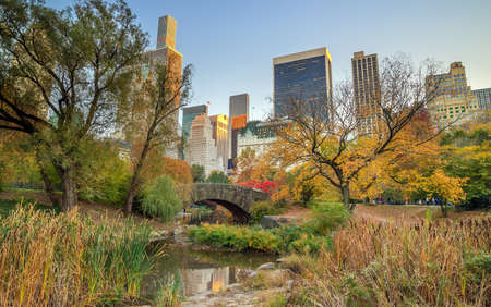 Central Park in Autumn with colorful trees and skyscrapersの写真素材