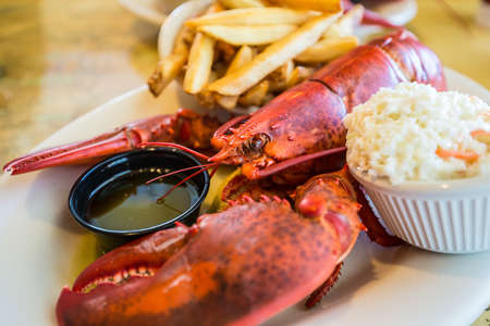 Maine big red lobster served on plateの写真素材