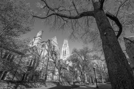 Yale university buildings in spring blue sky in New Haven, CT USAの写真素材