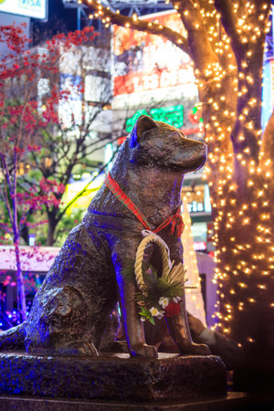 TOKYO, JAPAN - JANUARY 9: Hachiko statue in Shibuya Tokyo on January 9, 2016. Hachiko was remembered for his remarkable loyalty to his owner which continued for many years after his owner's death.のeditorial素材
