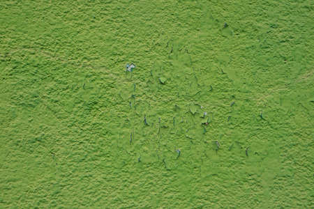 Close up shot of old vintage painted wall for backgroundの写真素材