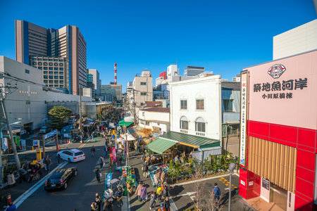 TOKYO,JAPAN - DEC 9 : View of Tsukiji fish market with retail shops and restaurants carter in Tokyo on December 9, 2016のeditorial素材