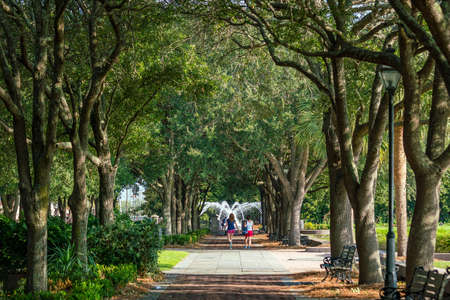 The Waterfront Park in Charleston, South Carolina, USAの写真素材