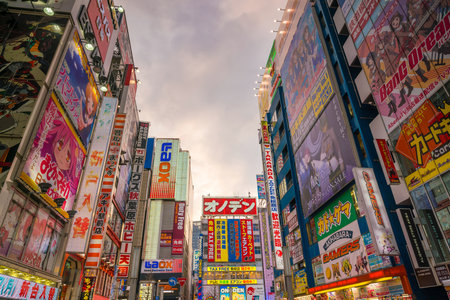 Tokyo, Japan - MARCH 28, 2017: Neon signs and billboard advertisements in  Akihabara electronics hub at twilight on March 28, 2017のeditorial素材