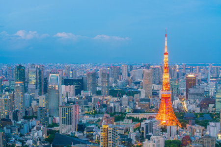 Tokyo skyline  with Tokyo Tower at twilight in Japanのeditorial素材
